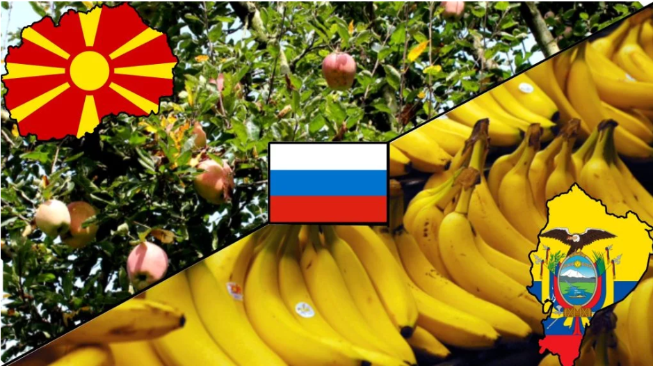 Фото: колаж Fakenoodle, Aivazovsky.commons, Steve Hopson, Auli Raha, Sports9494, Public domain CC BY-SA 4.0, via Wikimedia Commons