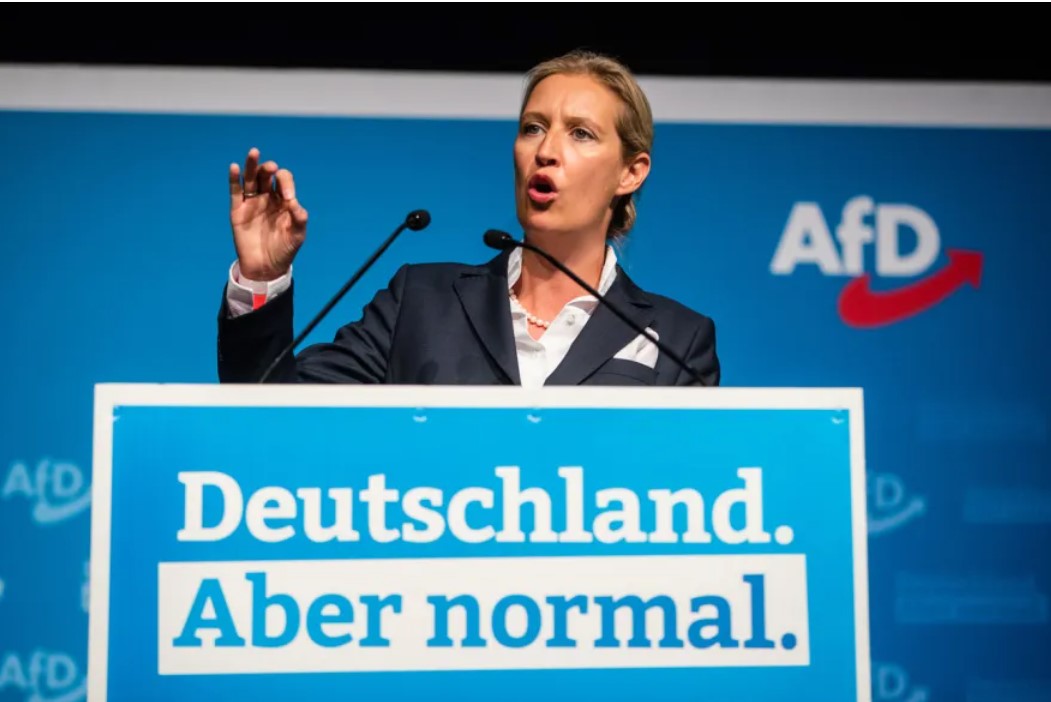 Алиса Вајдел АфД