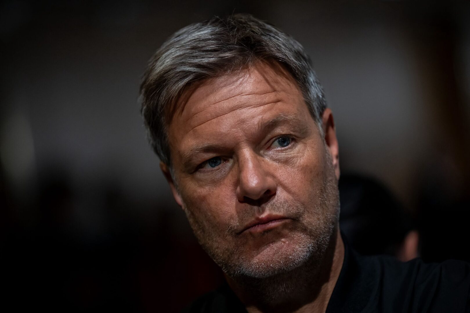 Вицеканцеларот на Германија Роберт Хабек