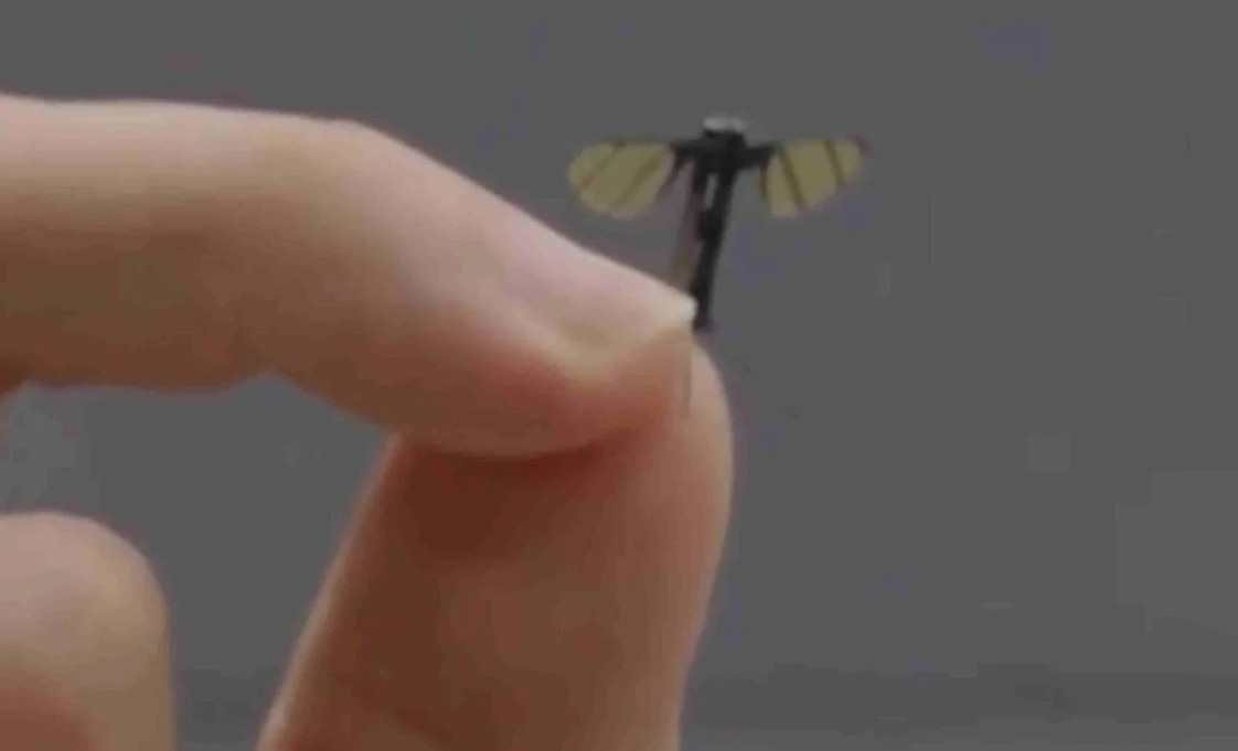 Снимка од екранот од безбедносниот надзор покажува кинески беспилотен авион со големина на комарец, развиен на Националниот универзитет за одбранбена технологија и погоден за тајни воени операции. Фотографија: CCTV