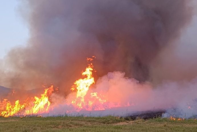 Фото: Македонско еколошко друштво