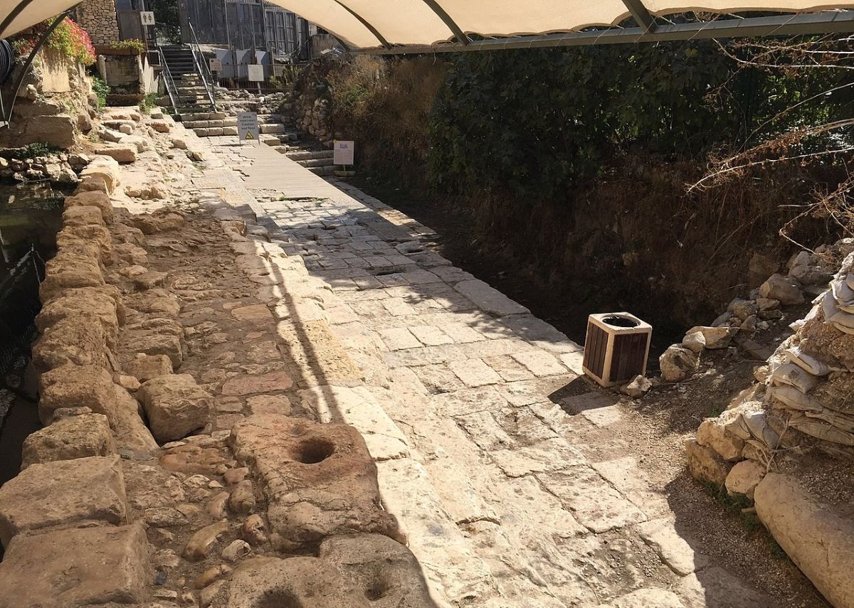 Markbarnes, CC BY-SA 4.0 , via Wikimedia Commons