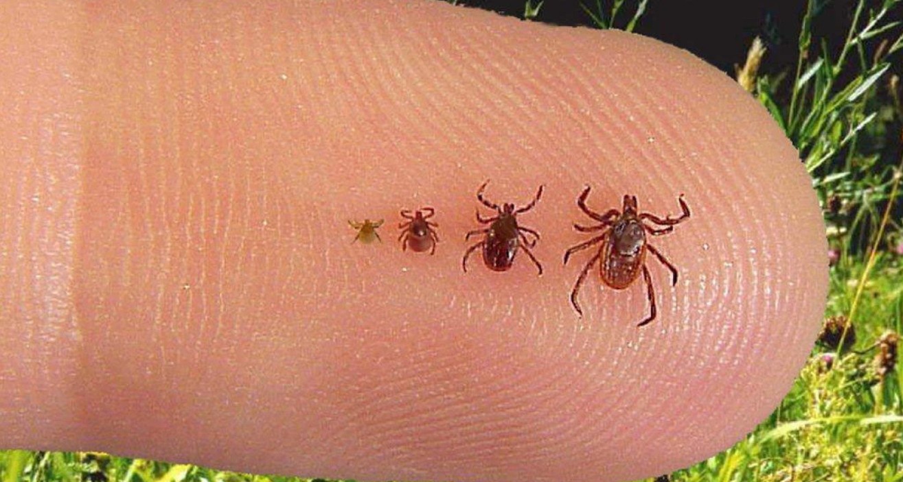 Fairfax County/Flickr / Creative Common