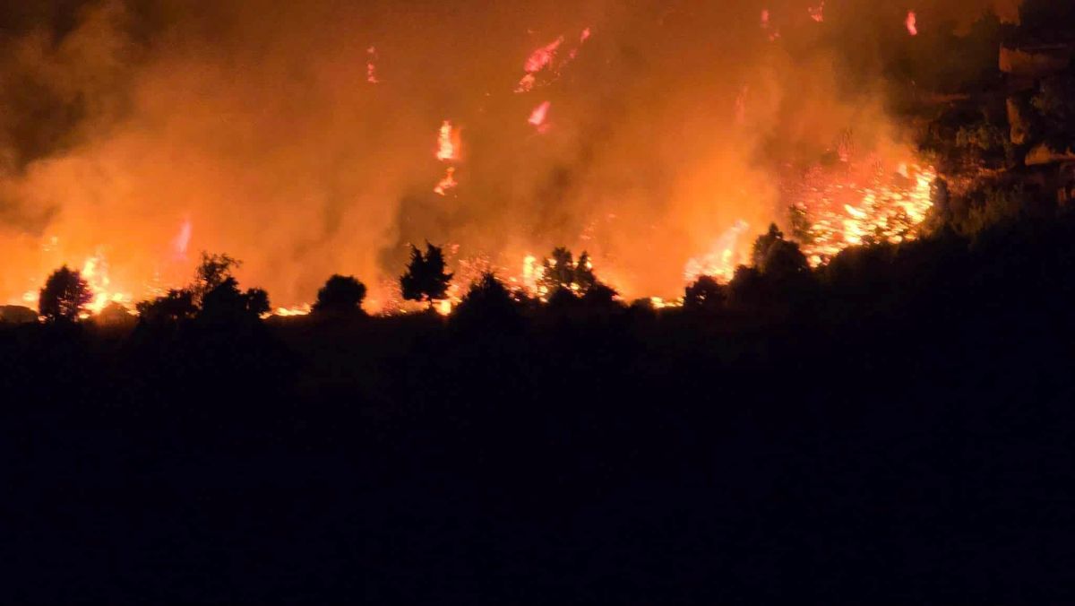 пожар кај прилепска Дабница