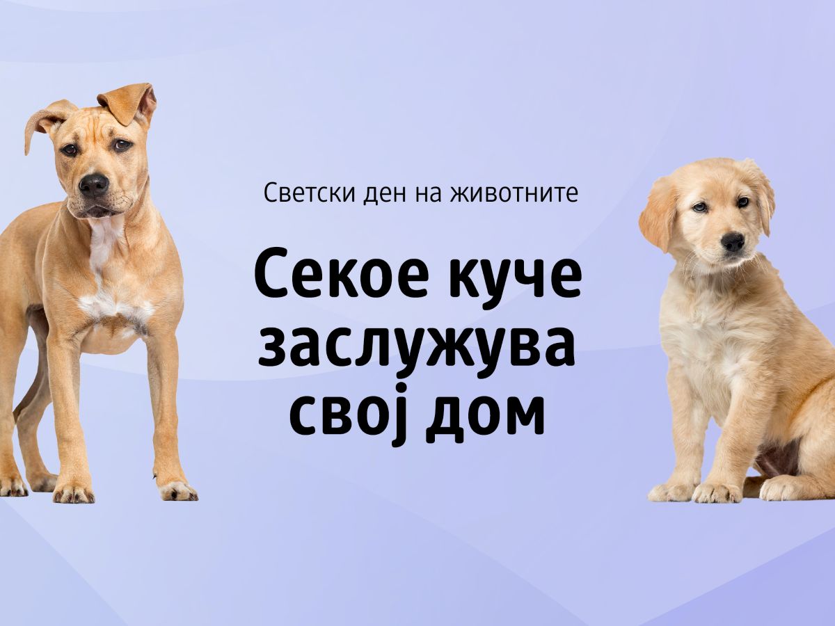 Светскиот ден на животните со drogerie markt