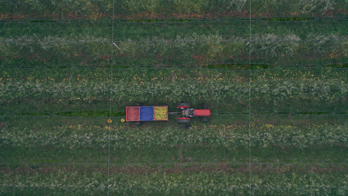 земјоделство