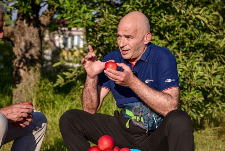 Прцуловски