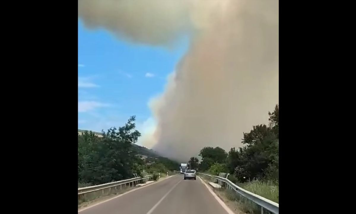 пробиштип