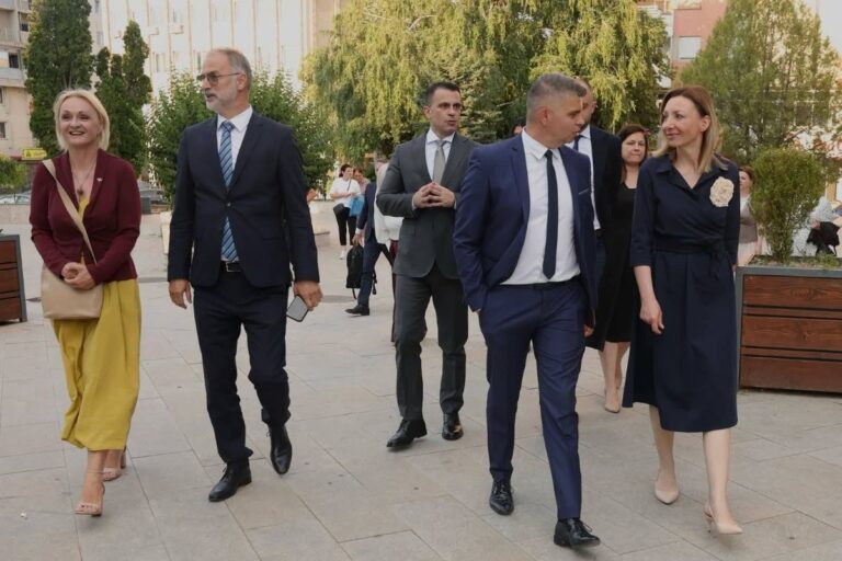 Младиќ