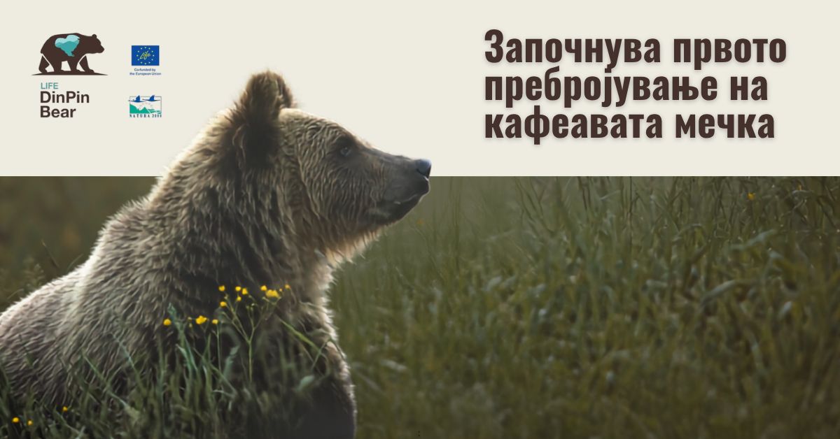 мечка